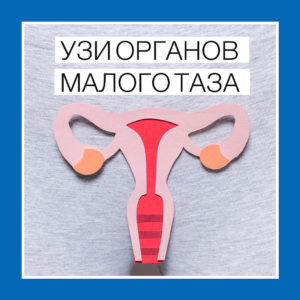 Сделать УЗИ органов малого таза в Новокузнецке