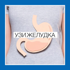 УЗИ желудка