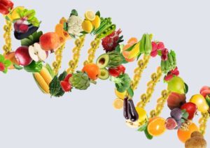 Vegetables and fruits